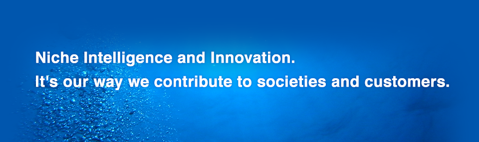 Niche Intelligence and Innovation. 
It’s the way we contribute societies and customers.
